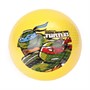 Мяч 23см черепашки-ниндзя с наклейкой, в сетке AD-9(TMNT) - фото 69874755