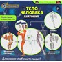Набор Опыты тело человека IQ Эксперимент A365-H24040-R - фото 69879508