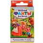 Игра Путешествие в сказку. Веселые фанты для детей 4680107930637 - фото 69888375