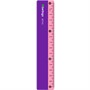 Линейка пластик 15см Envy Berlingo PR_50015 - фото 69896692