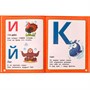 Книга Умка 9785506072881 Азбука из зоопарка. Азбука с крупными буквами. В. А. Степанов /16/ - фото 69901262