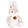 Заяц 22см FG240520051D - фото 69904404