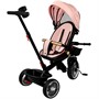 Велосипед трехколесный Dvizhok розовый FG240528288L-5 колеса ЭВА 12"/10" - фото 69905542