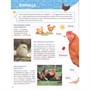 Книга 978-5-378-31898-8 ПЕРВАЯ ДЕТСКАЯ ЭНЦИКЛОПЕДИЯ. ВСЁ О ЖИВОТНЫХ ФЕРМЫ МАЛЫШАМ - фото 69917370