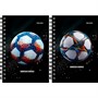 Записная книжка 120 л. А6 Разные футбольные мячи - 15 ЗК120-3026 - фото 69917787