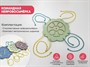 Командная Нейровосьмёрка - фото 69927924