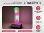 Настольная светодиодная колонна «Лампус» - фото 69928269