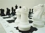 Напольные шахматы и шашки - фото 69932248