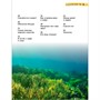 Книга 978-5-353-11373-7 Подводный мир. Детская энциклопедия - фото 69934534