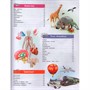 Книга 978-5-353-11888-6 Лучшая энциклопедия для детей - фото 69934708