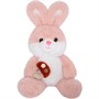 Зайчик 22 см FG250920194C в ассорт. - фото 69938275