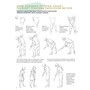 Скетчбук начинающего художника. Рисуем фигуры в движении шаг за шагом. 50 проектов с подробными описаниями и рисунками + чистые страницы для рисования (белая обложка) 9785002414604 - фото 69942269