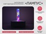 Напольная светодиодная колонна «Лампус» - фото 69969569