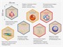 «Стендум - Физика» - набор информационно-методических панелей (19 шт.) - фото 69970810