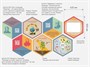 «Стендум - Биология» - набор информационно-методических панелей (18 шт.) - фото 69970865