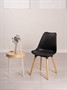 Стул KANO ECO (черный) PP1102B - фото 70028097