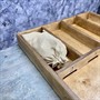 Настольная игра из дерева «Жульбак» XL из фанеры - фото 70160335