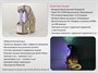 Мобильный сенсорный комплекс «Иллюминар» (интерактивная версия) - фото 70469485