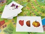 English Buddy PRO - Интерактивный комплекс для кружков английского языка - фото 70469694