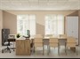 Кабинет руководителя в образовательное учреждение 27 м² - фото 70474911