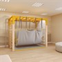Мультисенсорная интеграция «НейроДинамика Плюс» - фото 70626693